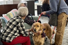 493686976_1169647735173827_6537187466323865919_n