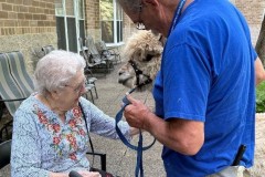 505520397_1206796644792269_4921121583276165339_n