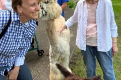 505608346_1206796648125602_3593813020277538408_n