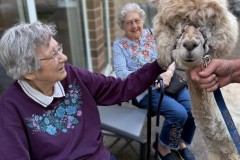 505826188_1206796721458928_8049556171036295806_n