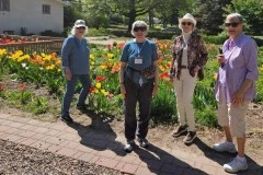 Tulip House