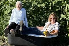 Gibs-Farm-6